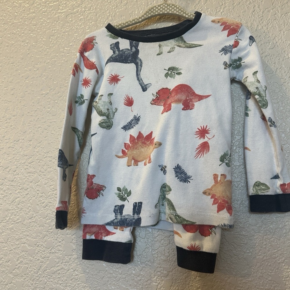 Burt's Bees Toddler Pajamas Two piece Dinosaurs Carnivores 2t Organic